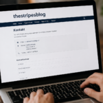thestripesblog contact fisher
